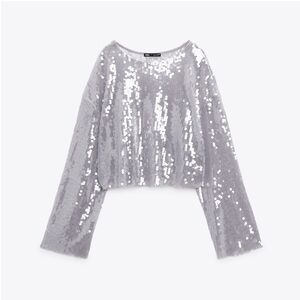 Zara Sequin Top (Size Large)